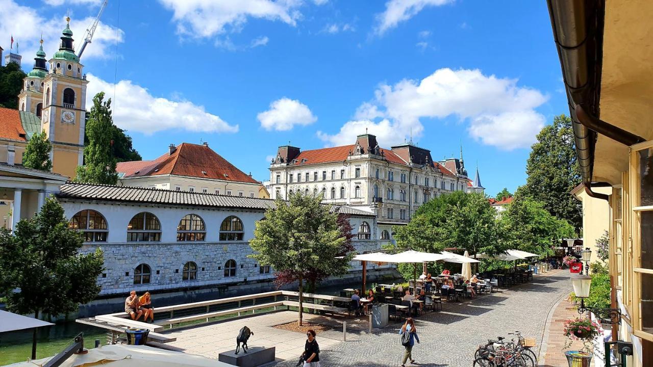 Petkovsek Rooms And Apartments Ljubljana Dış mekan fotoğraf