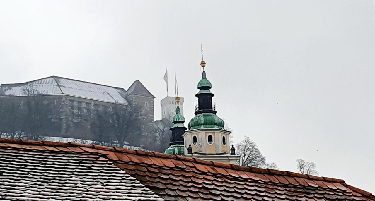 Petkovsek Rooms And Apartments Ljubljana Dış mekan fotoğraf